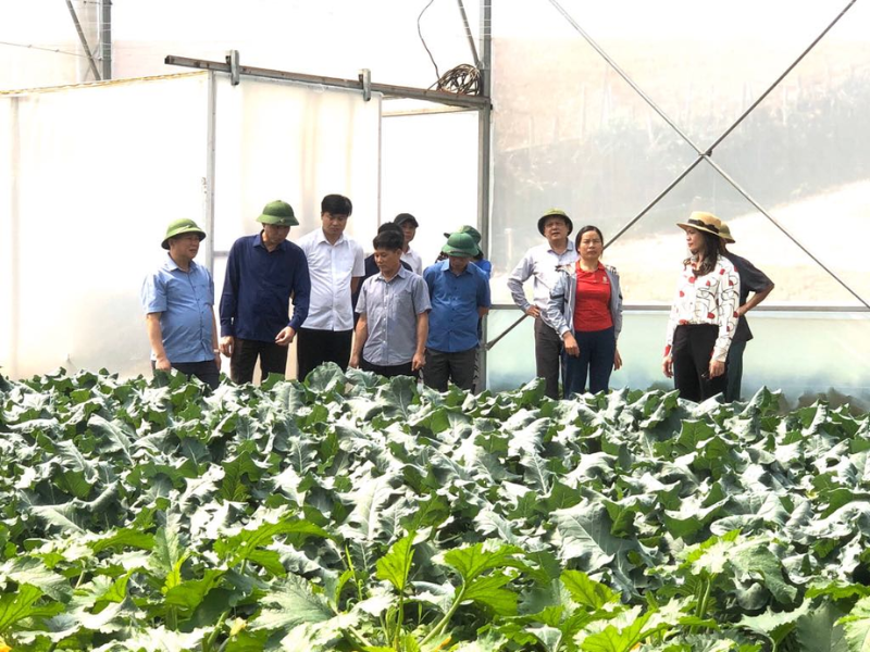 Thúc đẩy nền nông nghiệp Việt Nam
